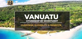 Maximize Opportunities with a Citizenship by Investment Agent